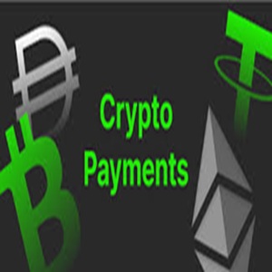 we accept bitcoin, usdt and others