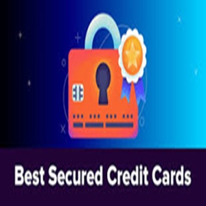 100% secured credit card payment